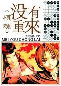 (棋魂同人)沒有重來