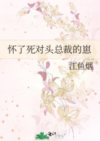 怀了饲对头总裁的崽