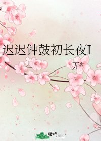 迟迟钟鼓初长夜I