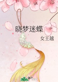 晓梦迷蝶