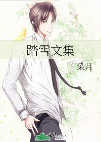踏雪文集